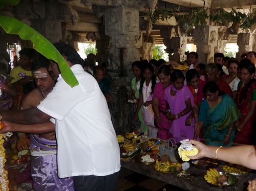 Managing the Offering