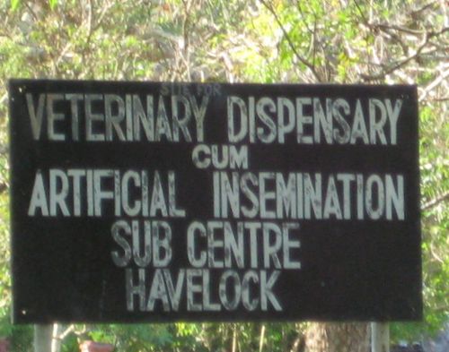 Cum Again or They Have a Main Center?