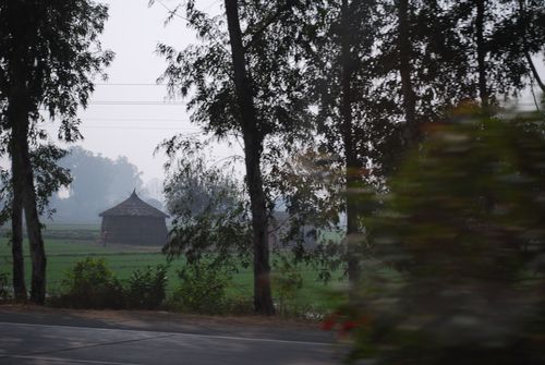 Roadside House