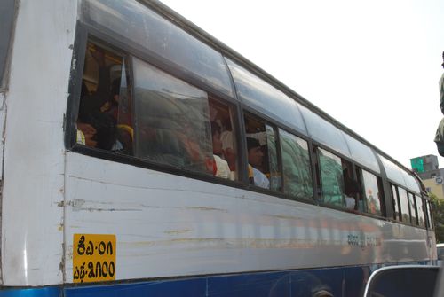 Can You Say Sardine?