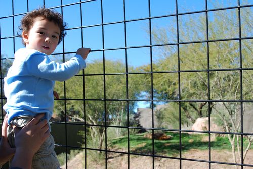 Ooohh - Can I Have One?