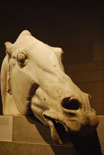 Marble Horse from Parthenon 5BC