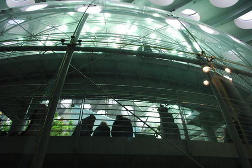 Rainforest Biosphere