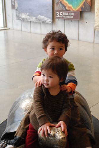 Hey, It Isn't Moving