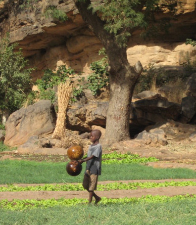 Calabas Watering Cans