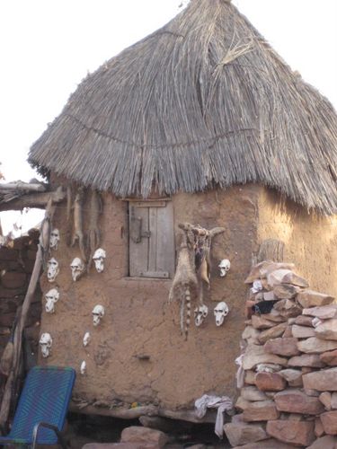 Hunters Hut with Monkey Skulls and Skins