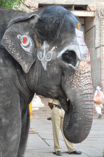 Bless Me Darren Byrne