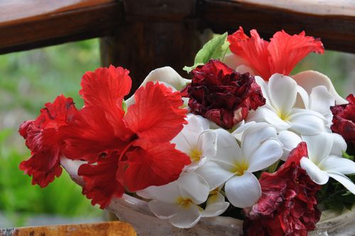 Flowers On Our Balcony