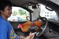 Chick....Chick....Chicky