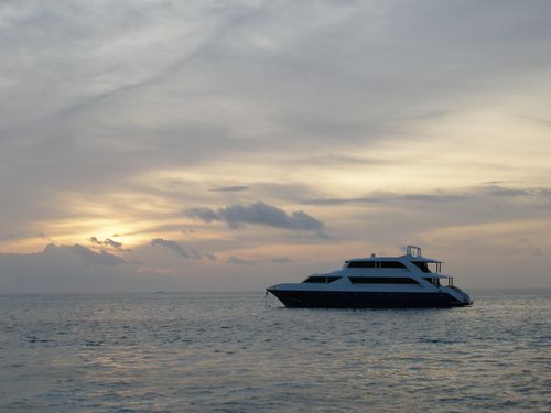 Our Home For The Week