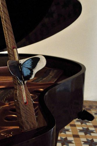 Piano Butterfly