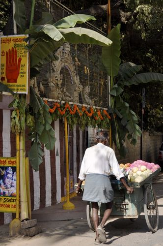Fruit Vendor