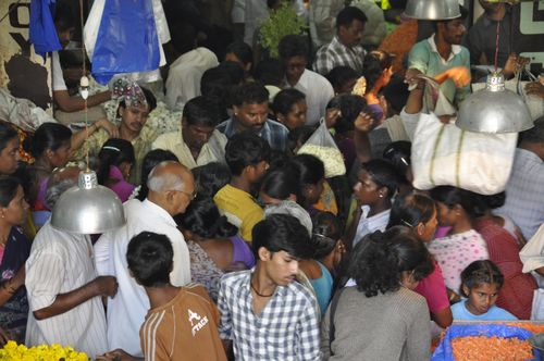 Inside the Flower Market Inside the Flower Market