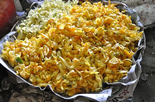 Amazing Fragrance Amazing Fragrance