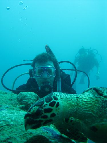 Darren and Turtle Darren and Turtle