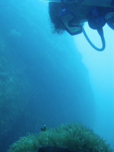 Favorite Underwater Past Time Favorite Underwater Past Time