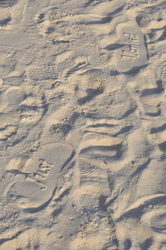 Evidence of a Wedding Evidence of a Wedding