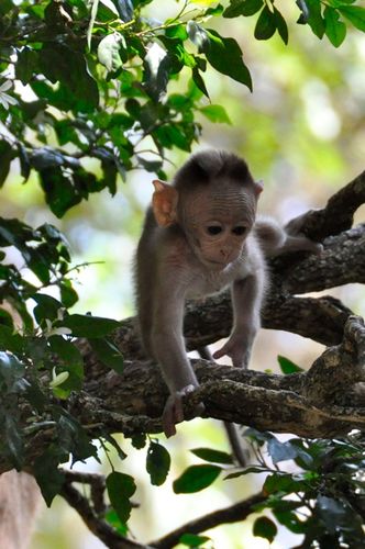 Climbing Around Climbing Around