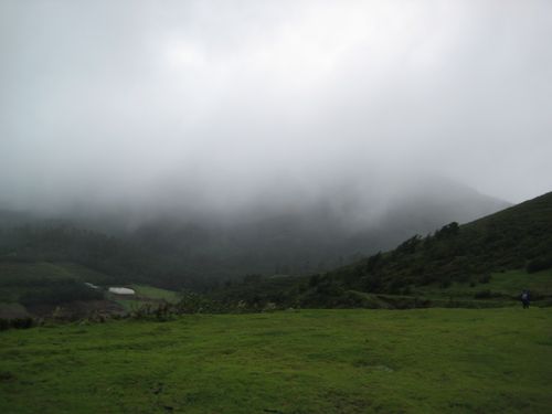 Another Storm Coming