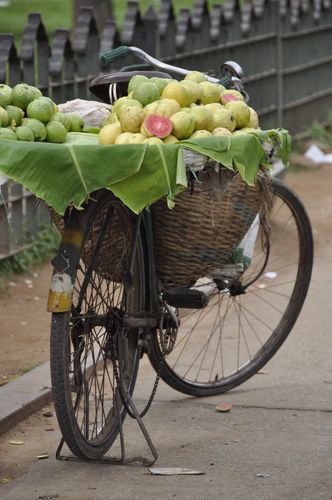 Mobile Guavas