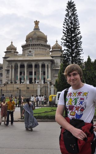 Almost As Tall As The Tree