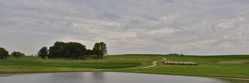 On The Way To Weston