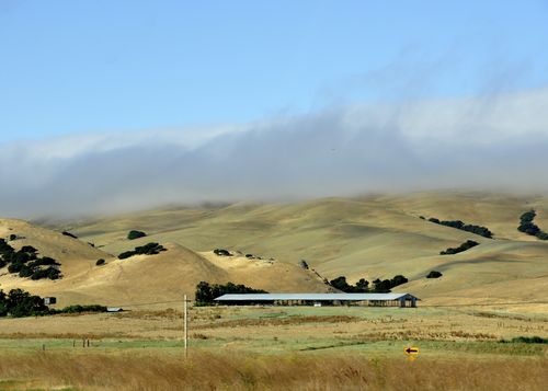 Hwy 80 On A Misty Morning